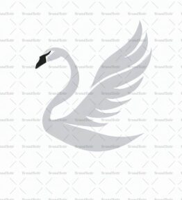 Anmutiger fliegender Schwan